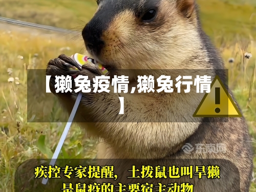 【獭兔疫情,獭兔行情】-第2张图片