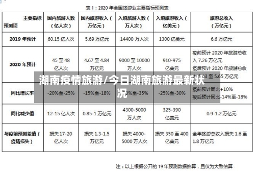 湖南疫情旅游/今日湖南旅游最新状况-第3张图片