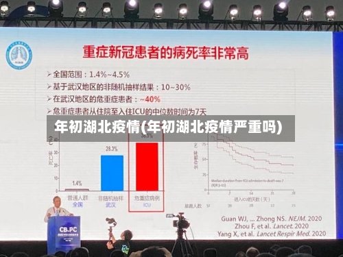 年初湖北疫情(年初湖北疫情严重吗)