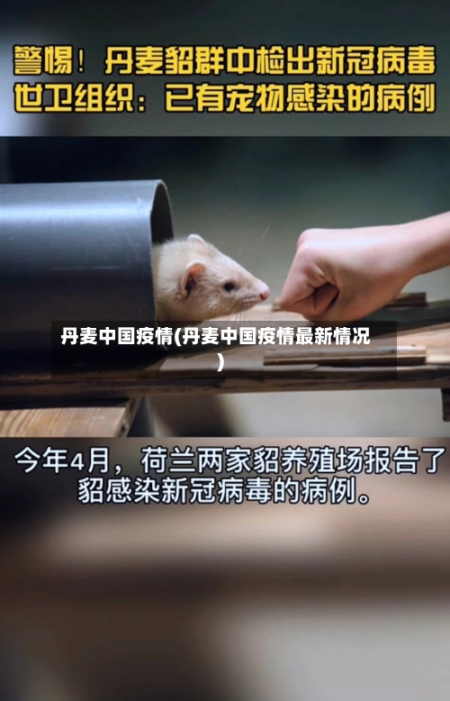 丹麦中国疫情(丹麦中国疫情最新情况)-第2张图片
