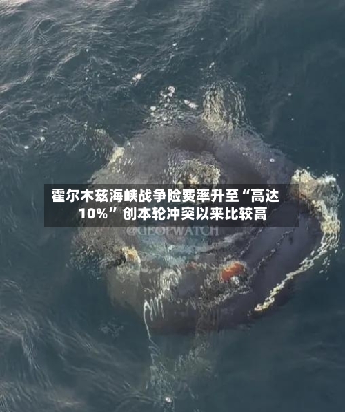 霍尔木兹海峡战争险费率升至“高达10%” 创本轮冲突以来比较高