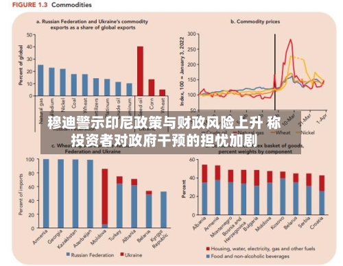 穆迪警示印尼政策与财政风险上升 称投资者对政府干预的担忧加剧