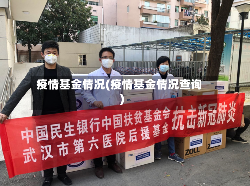 疫情基金情况(疫情基金情况查询)-第3张图片