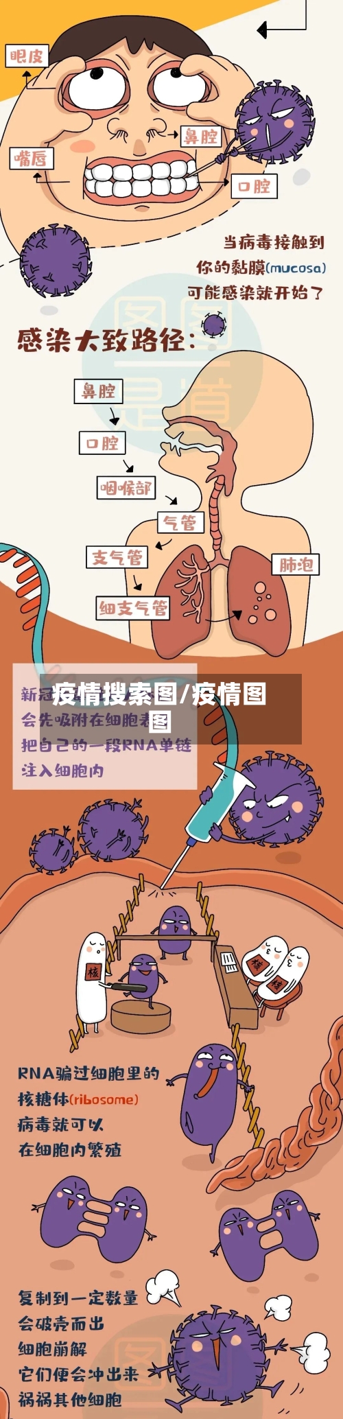 疫情搜索图/疫情图图