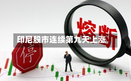 印尼股市连续第九天上涨