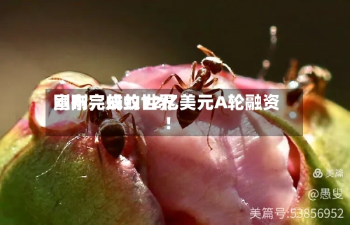 刚刚，蚂蚁世界宣布完成约12亿美元A轮融资！-第2张图片