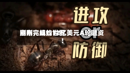 刚刚，蚂蚁世界宣布完成约12亿美元A轮融资！