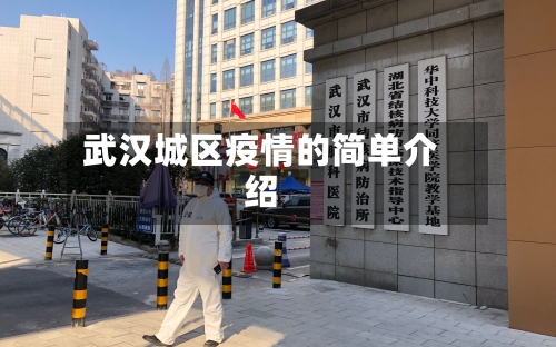 武汉城区疫情的简单介绍