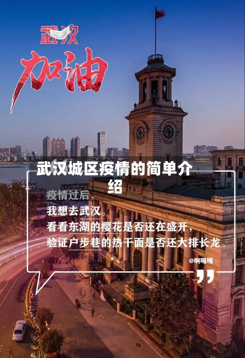武汉城区疫情的简单介绍-第2张图片