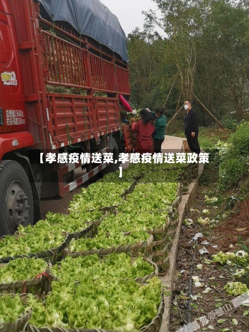 【孝感疫情送菜,孝感疫情送菜政策】