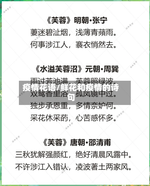 疫情花语/鲜花和疫情的诗句-第3张图片