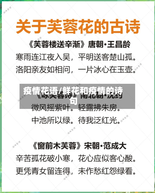 疫情花语/鲜花和疫情的诗句-第2张图片