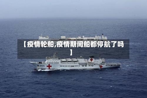 【疫情轮船,疫情期间船都停航了吗】-第2张图片