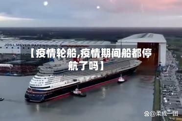 【疫情轮船,疫情期间船都停航了吗】-第3张图片