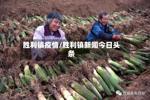 胜利镇疫情/胜利镇新闻今日头条