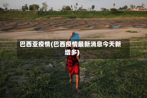 巴西亚疫情(巴西疫情最新消息今天新增多)-第2张图片