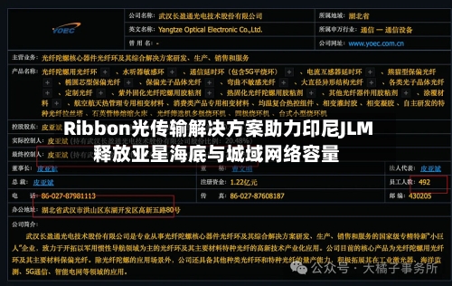 Ribbon光传输解决方案助力印尼JLM释放亚星海底与城域网络容量