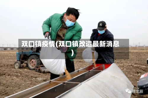 双口镇疫情(双口镇改造最新消息)