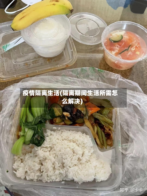 疫情隔离生活(隔离期间生活所需怎么解决)-第2张图片