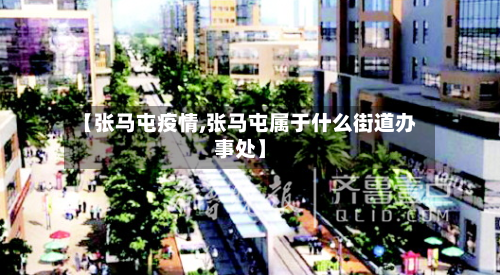【张马屯疫情,张马屯属于什么街道办事处】-第2张图片