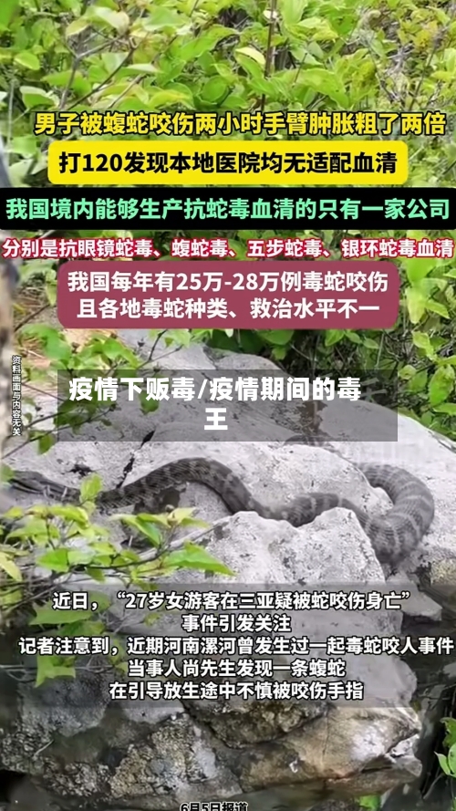 疫情下贩毒/疫情期间的毒王-第2张图片