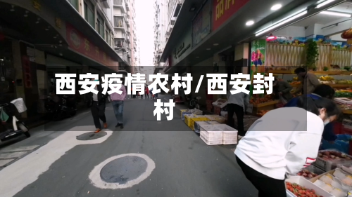 西安疫情农村/西安封村-第2张图片