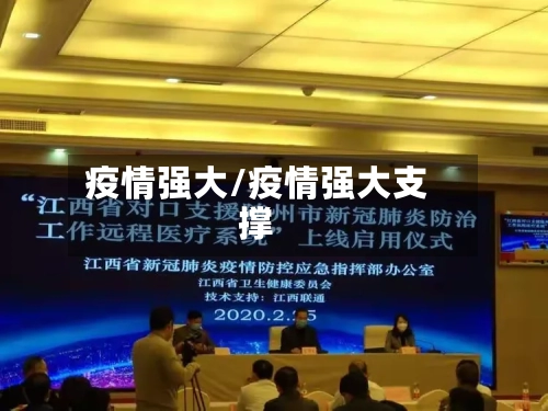 疫情强大/疫情强大支撑-第2张图片