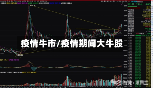 疫情牛市/疫情期间大牛股
