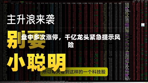 盘中多次涨停，千亿龙头紧急提示风险-第3张图片