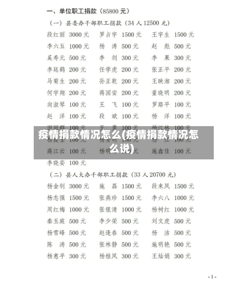 疫情捐款情况怎么(疫情捐款情况怎么说)
