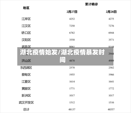 湖北疫情始发/湖北疫情暴发时间-第2张图片