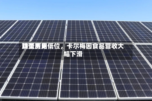 鸡蛋费用跌至历史低位，卡尔梅因食品营收大幅下滑-第2张图片