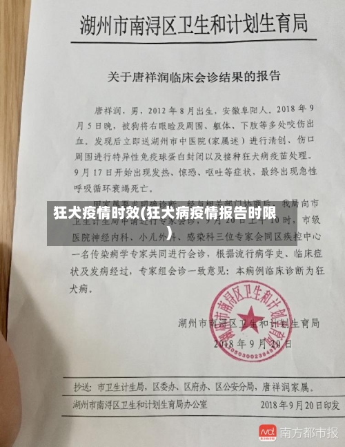 狂犬疫情时效(狂犬病疫情报告时限)