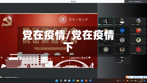 党在疫情/党在疫情下