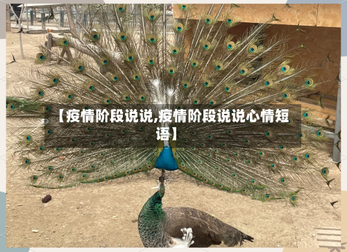 【疫情阶段说说,疫情阶段说说心情短语】