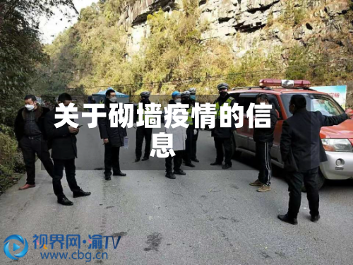 关于砌墙疫情的信息-第2张图片