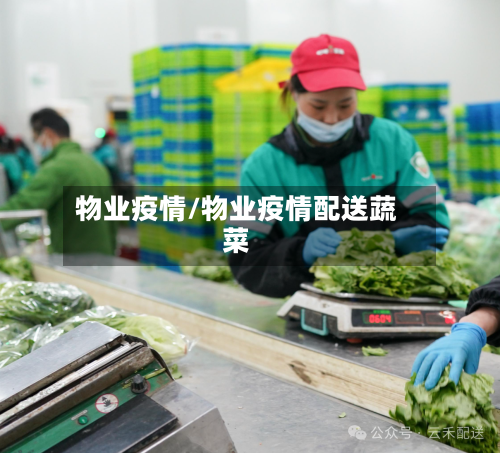 物业疫情/物业疫情配送蔬菜