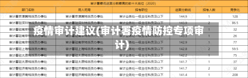 疫情审计建议(审计署疫情防控专项审计)-第2张图片