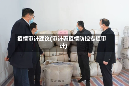 疫情审计建议(审计署疫情防控专项审计)-第3张图片