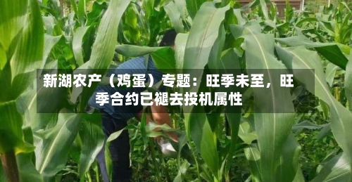 新湖农产（鸡蛋）专题：旺季未至	，旺季合约已褪去投机属性-第2张图片