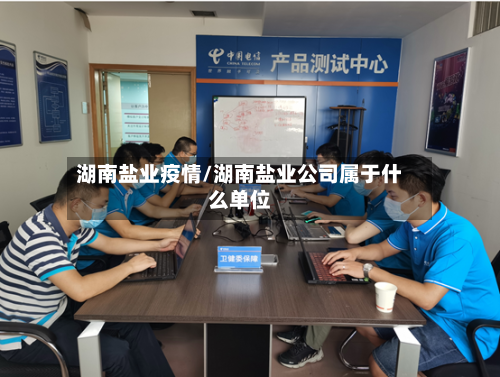 湖南盐业疫情/湖南盐业公司属于什么单位