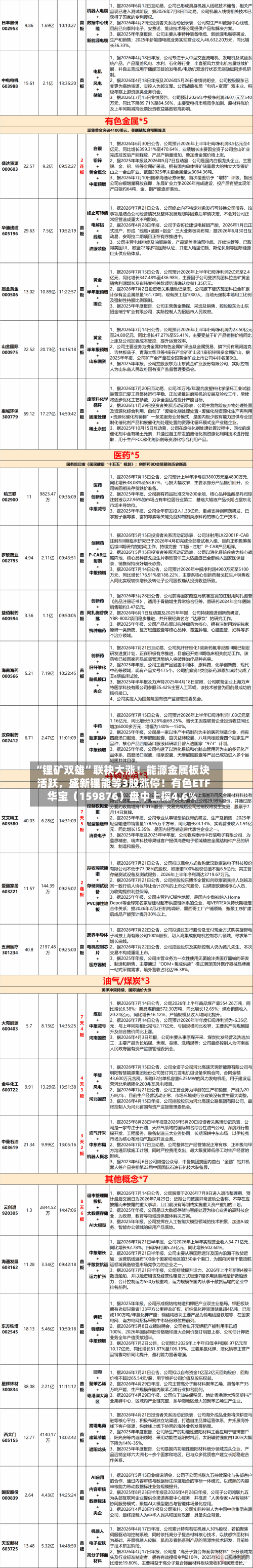 “锂矿双雄”联袂大涨！能源金属板块活跃	，盛新锂能等3股涨停！有色ETF华宝（159876）盘中上探4.6%-第3张图片