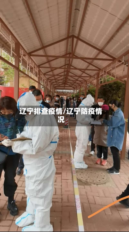 辽宁排查疫情/辽宁防疫情况