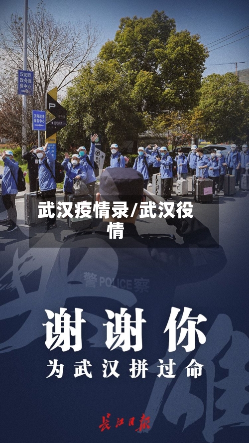 武汉疫情录/武汉役情-第2张图片