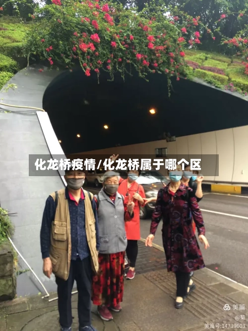 化龙桥疫情/化龙桥属于哪个区-第2张图片