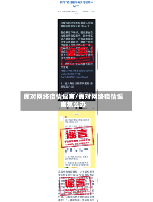 面对网络疫情谣言/面对网络疫情谣言怎么办