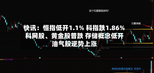 快讯：恒指低开1.1% 科指跌1.86% 科网股	、黄金股普跌 存储概念低开 油气股逆势上涨-第3张图片