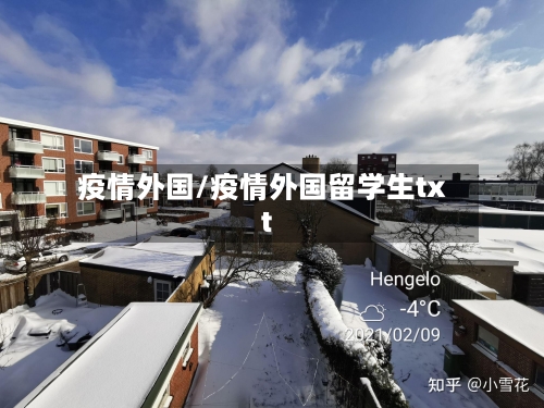 疫情外国/疫情外国留学生txt-第2张图片