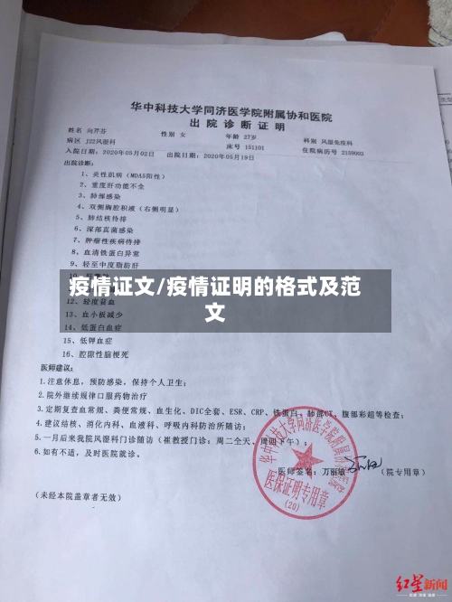 疫情证文/疫情证明的格式及范文-第2张图片