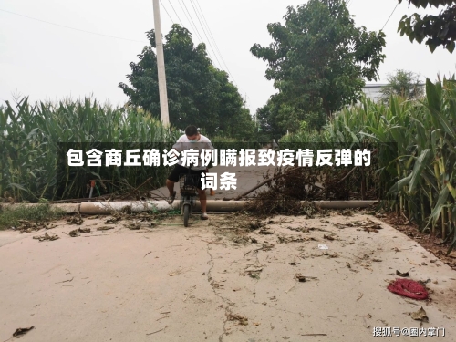 包含商丘确诊病例瞒报致疫情反弹的词条